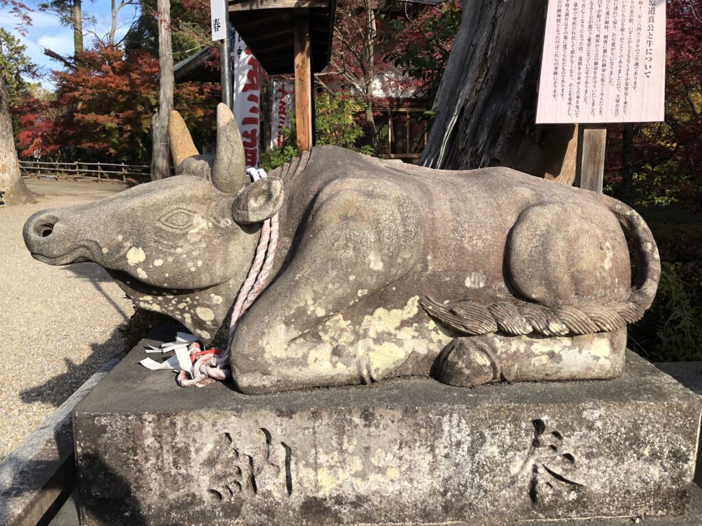 長岡天満宮の牛