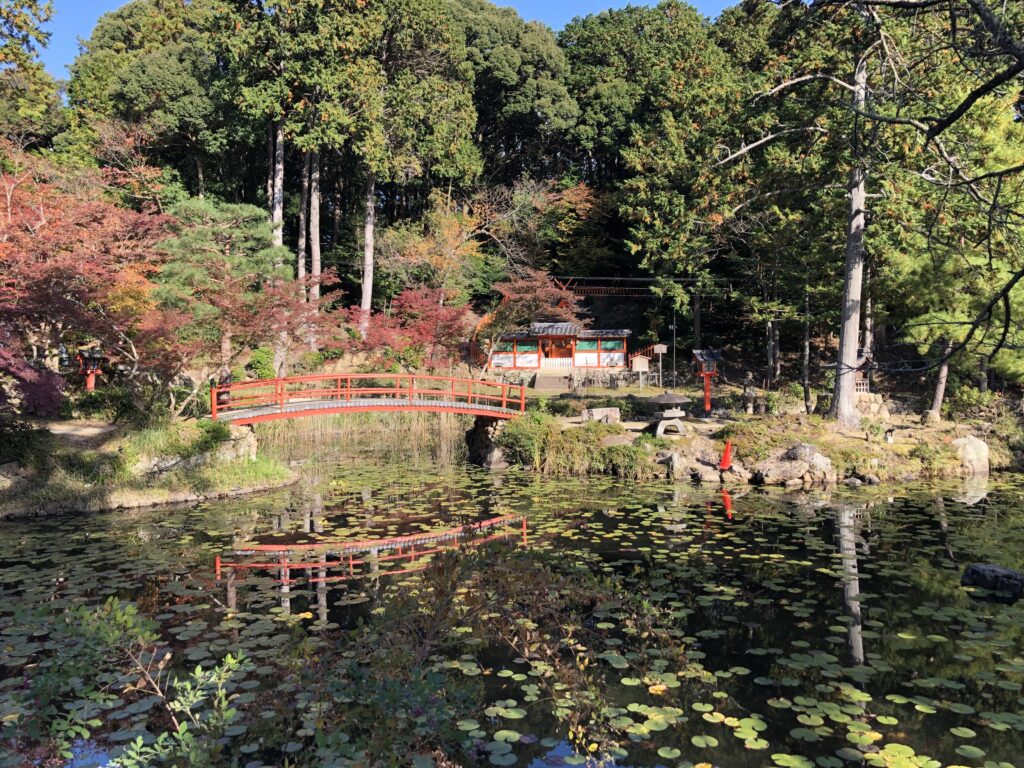 大原野神社池