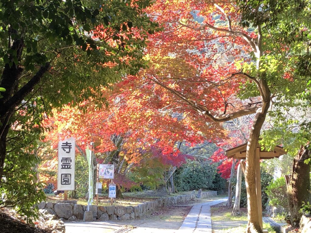 勝持寺紅葉