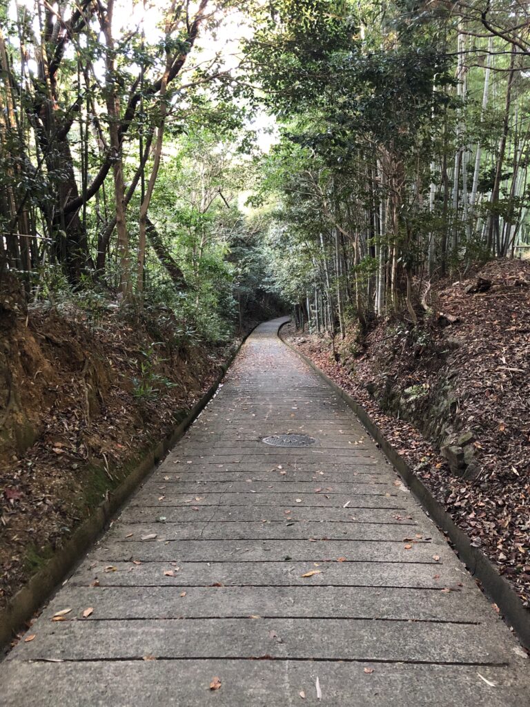 勝持寺帰り道