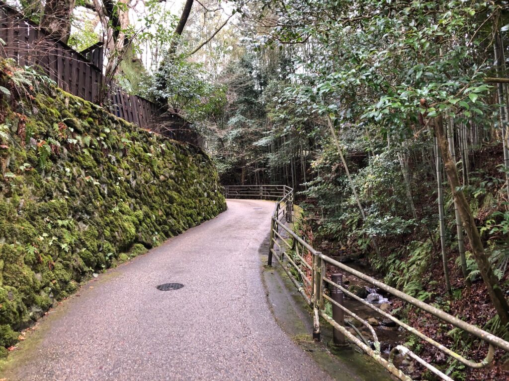 三千院への道